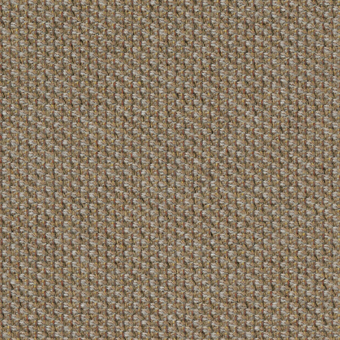 Almond-Cyber 2001
