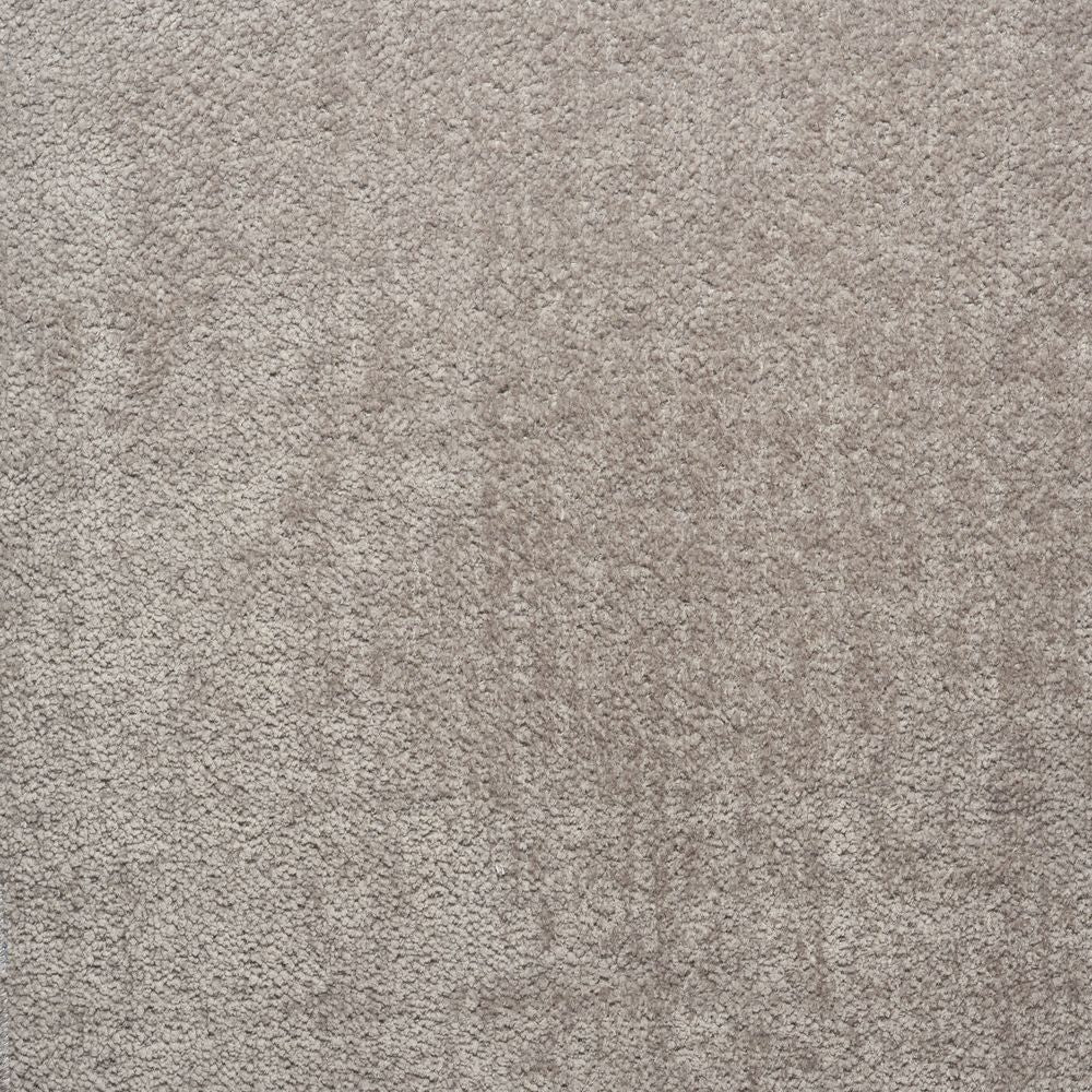 Cria-Alpaca 3148