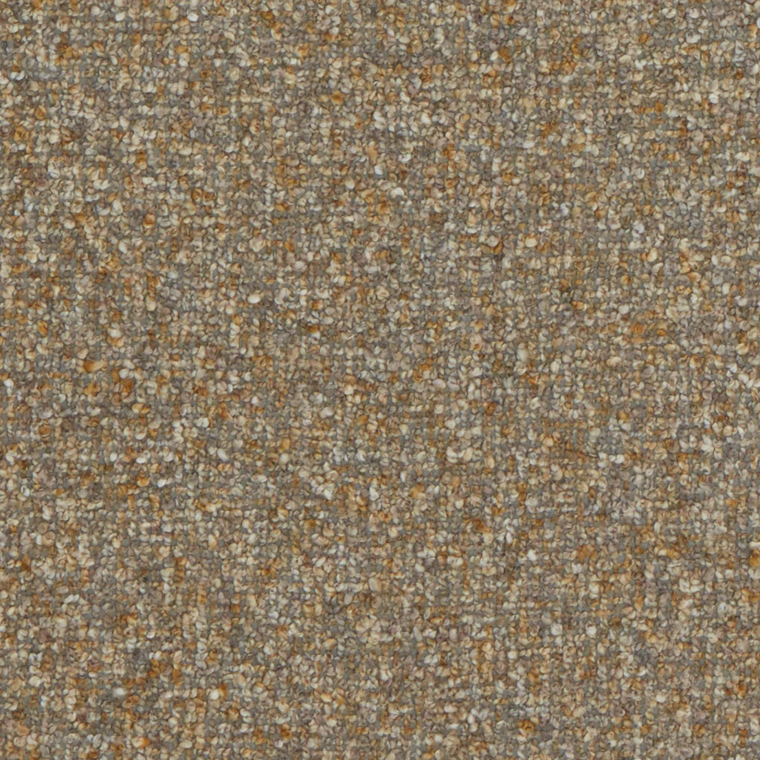 Dijon Boucle