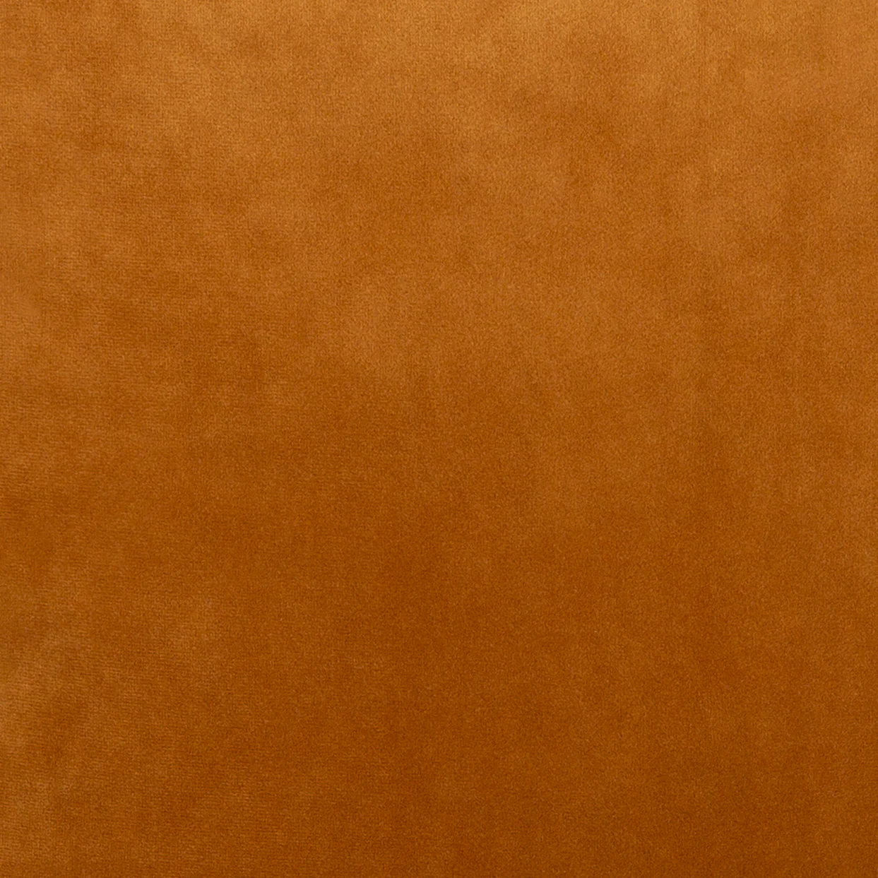 Gold Velvet