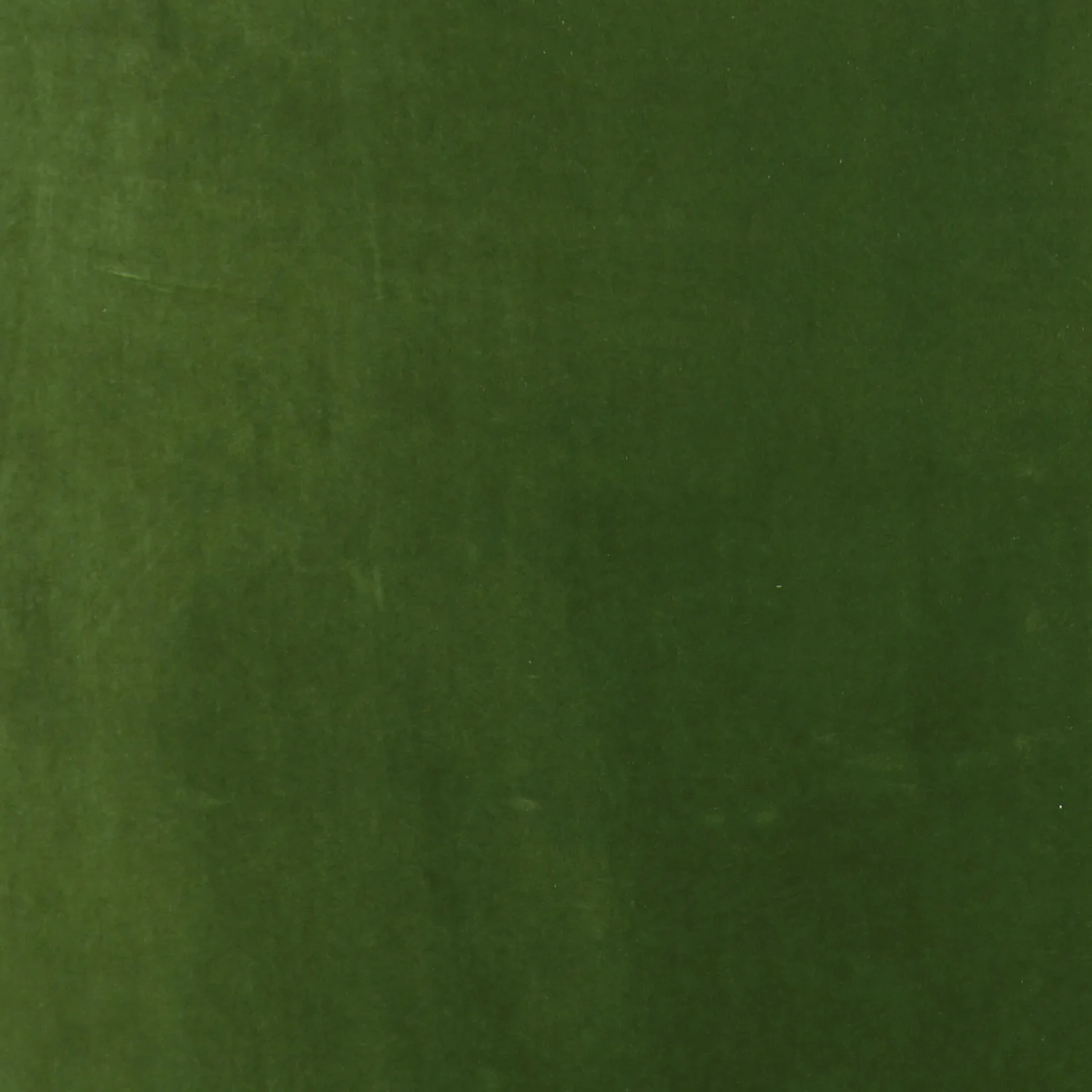 Olive Velvet