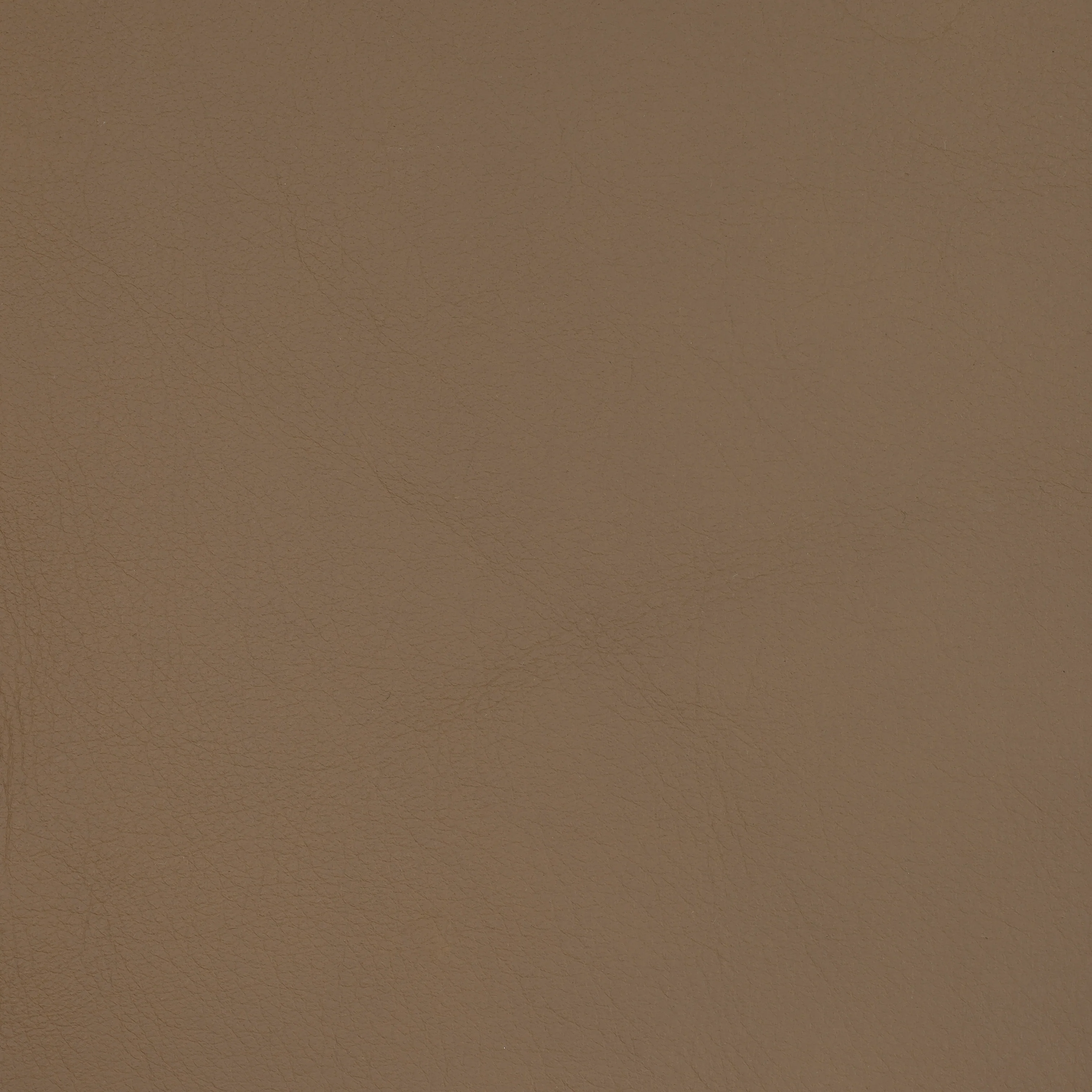 Buttero Sabbia Leather