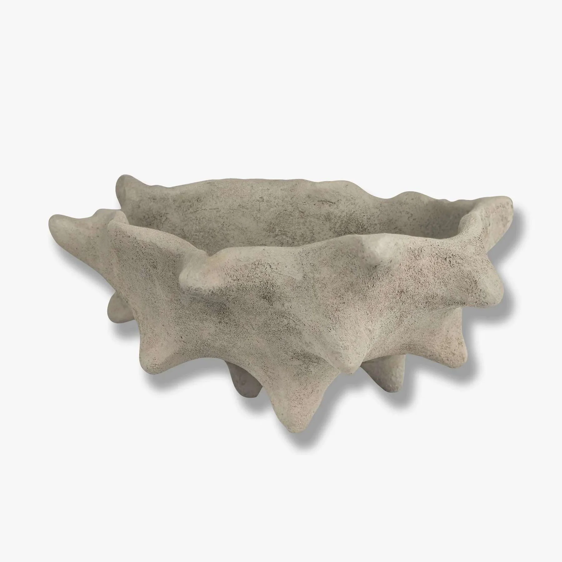 Chestnut Art Piece - Image 3