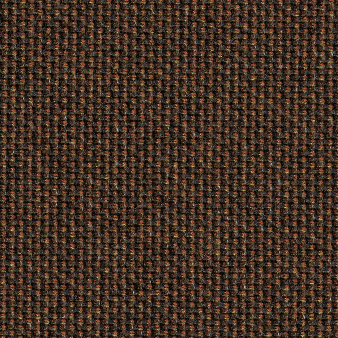 Chocolate-Cyber 1801
