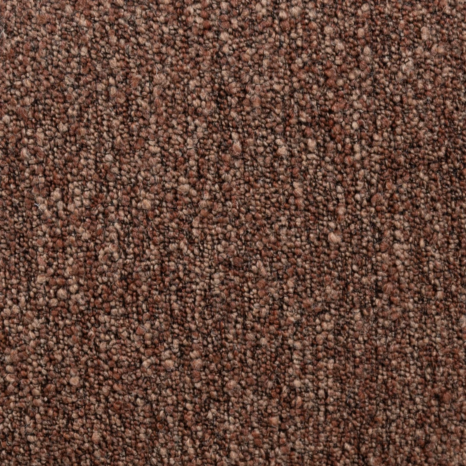 Cinnamon