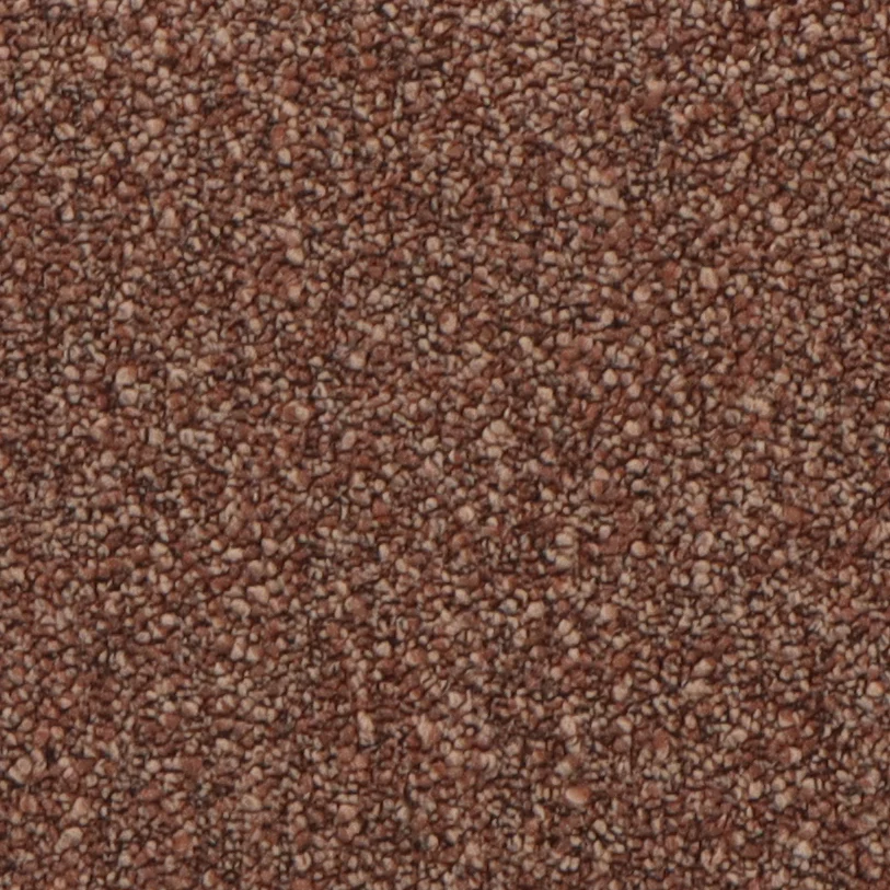 Cinnamon