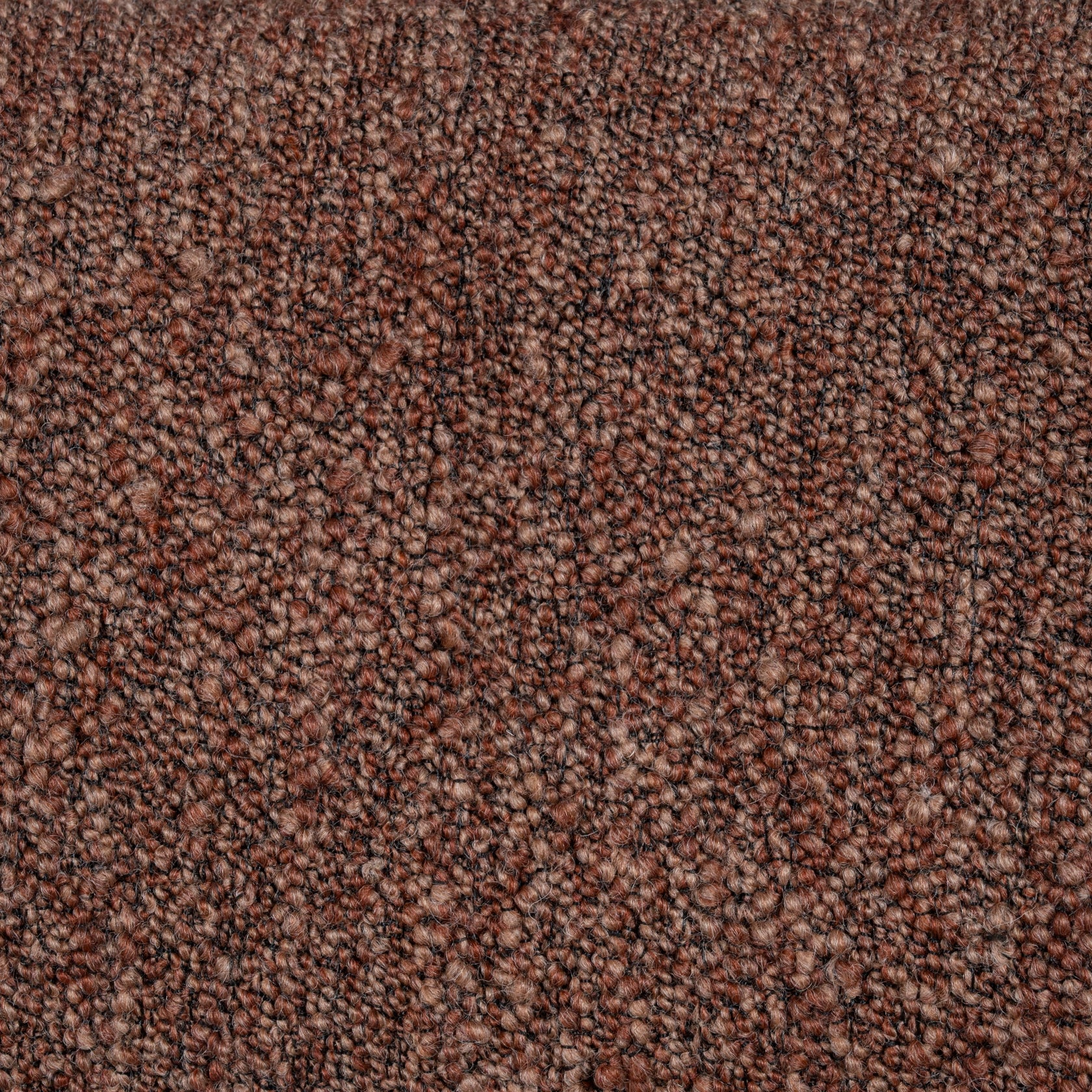 Cinnamon