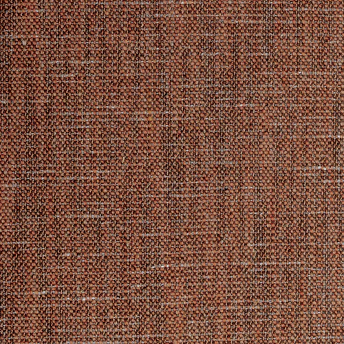 Cinnamon-Julie 12