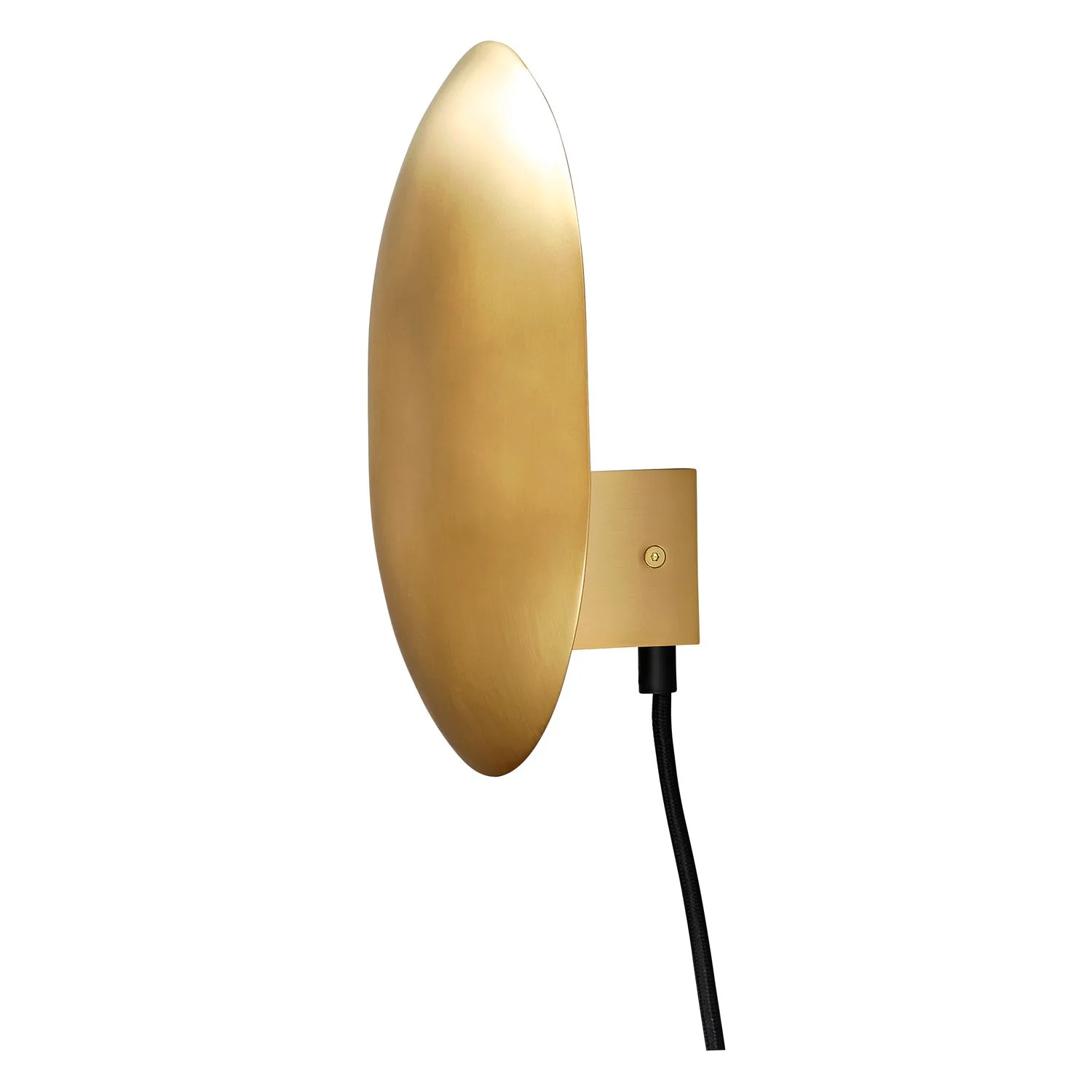 Clam Wall Lamp - Image 4