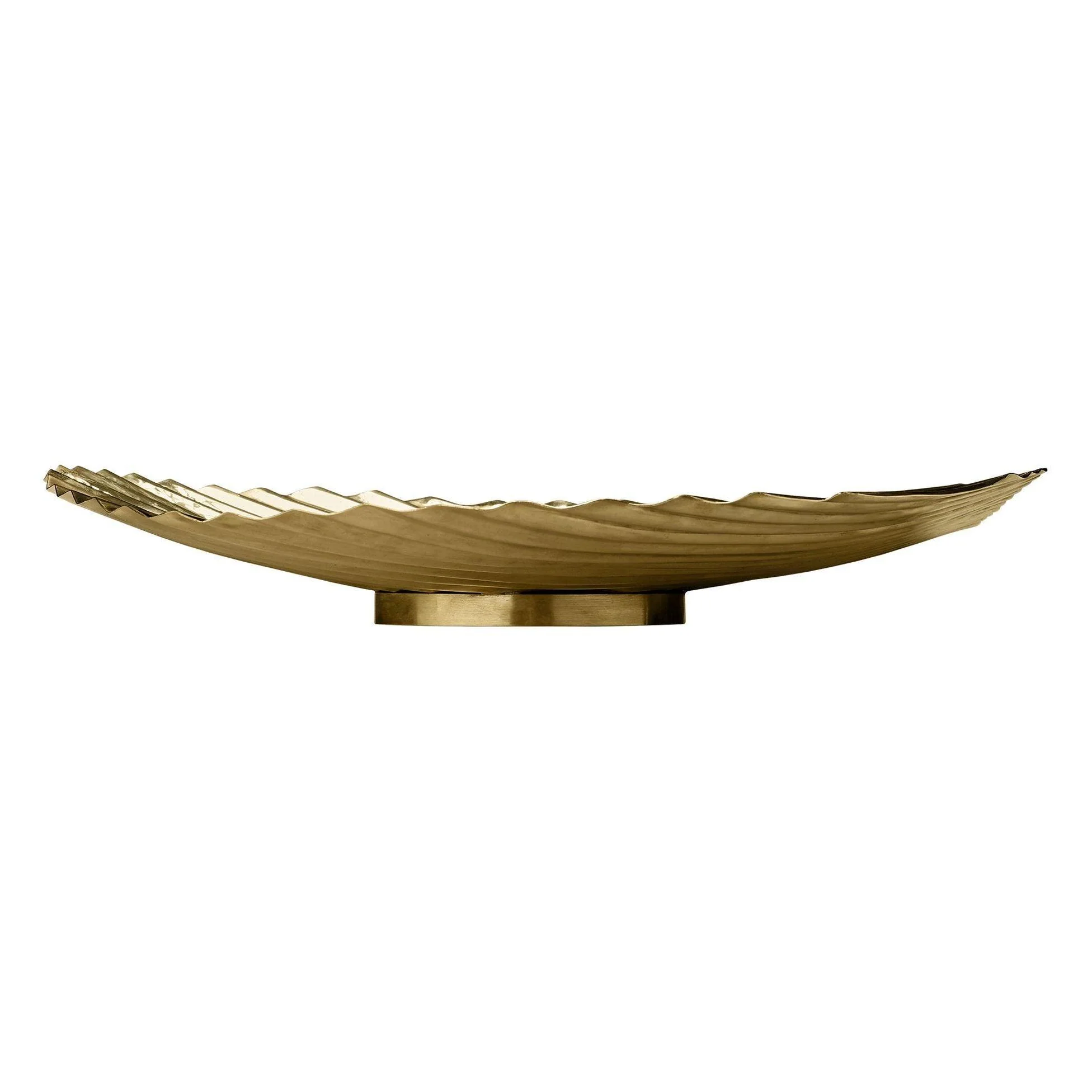 Concha Dish - Image 2