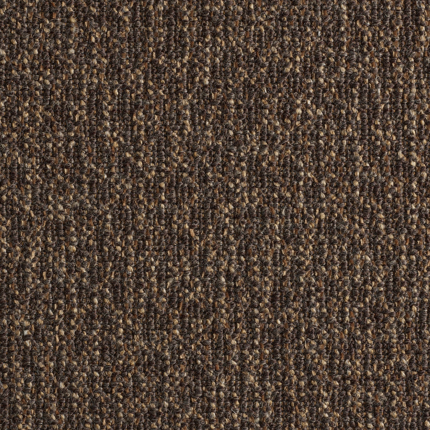 Dark Brown-Bosa 06