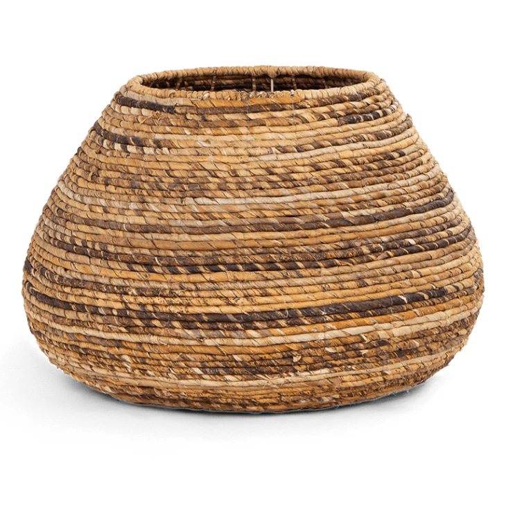 dBodhi Java Planter
