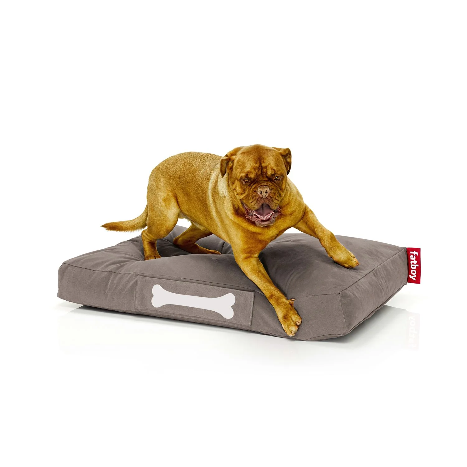 Doggielounge - Image 10