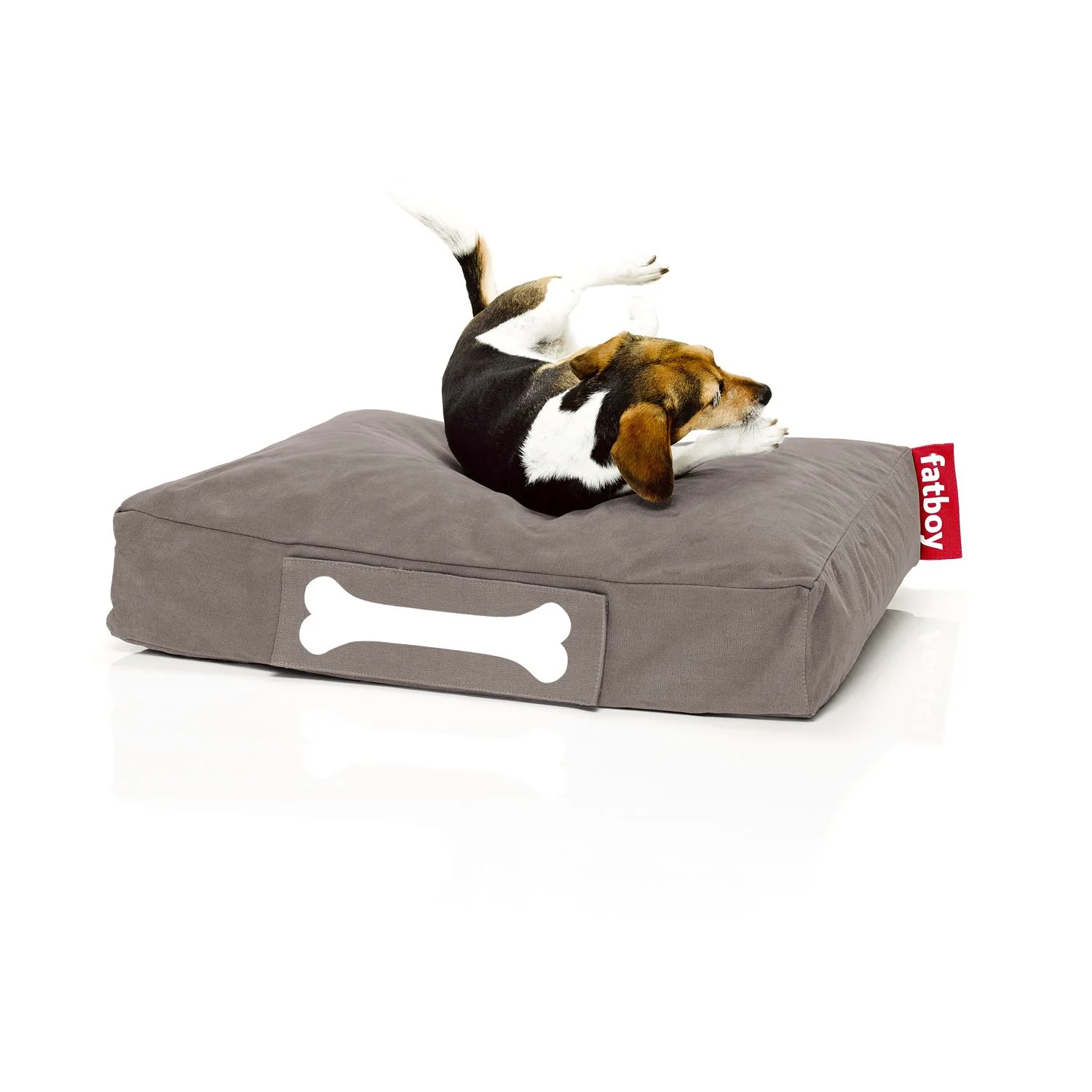 Doggielounge - Image 11