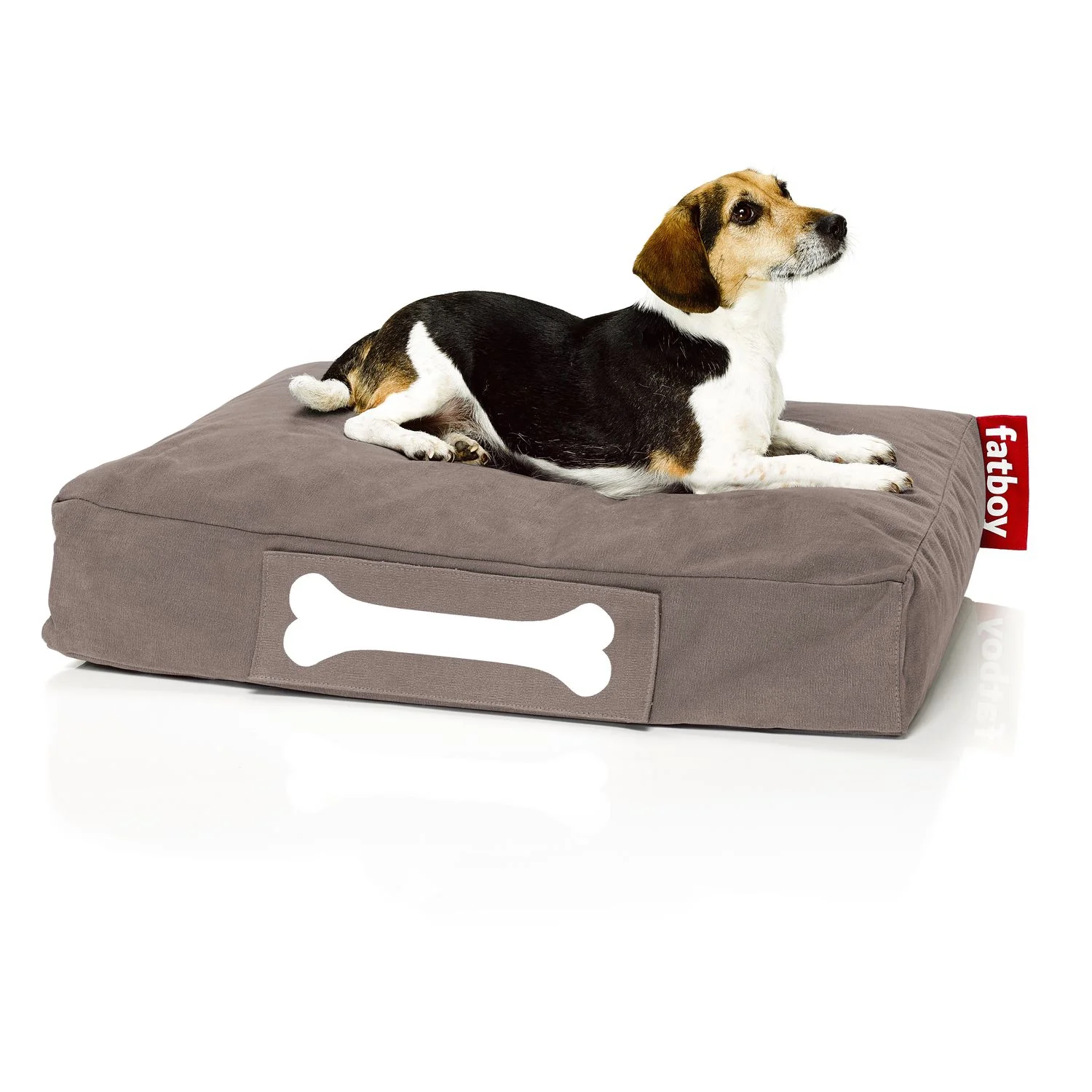 Doggielounge - Image 12
