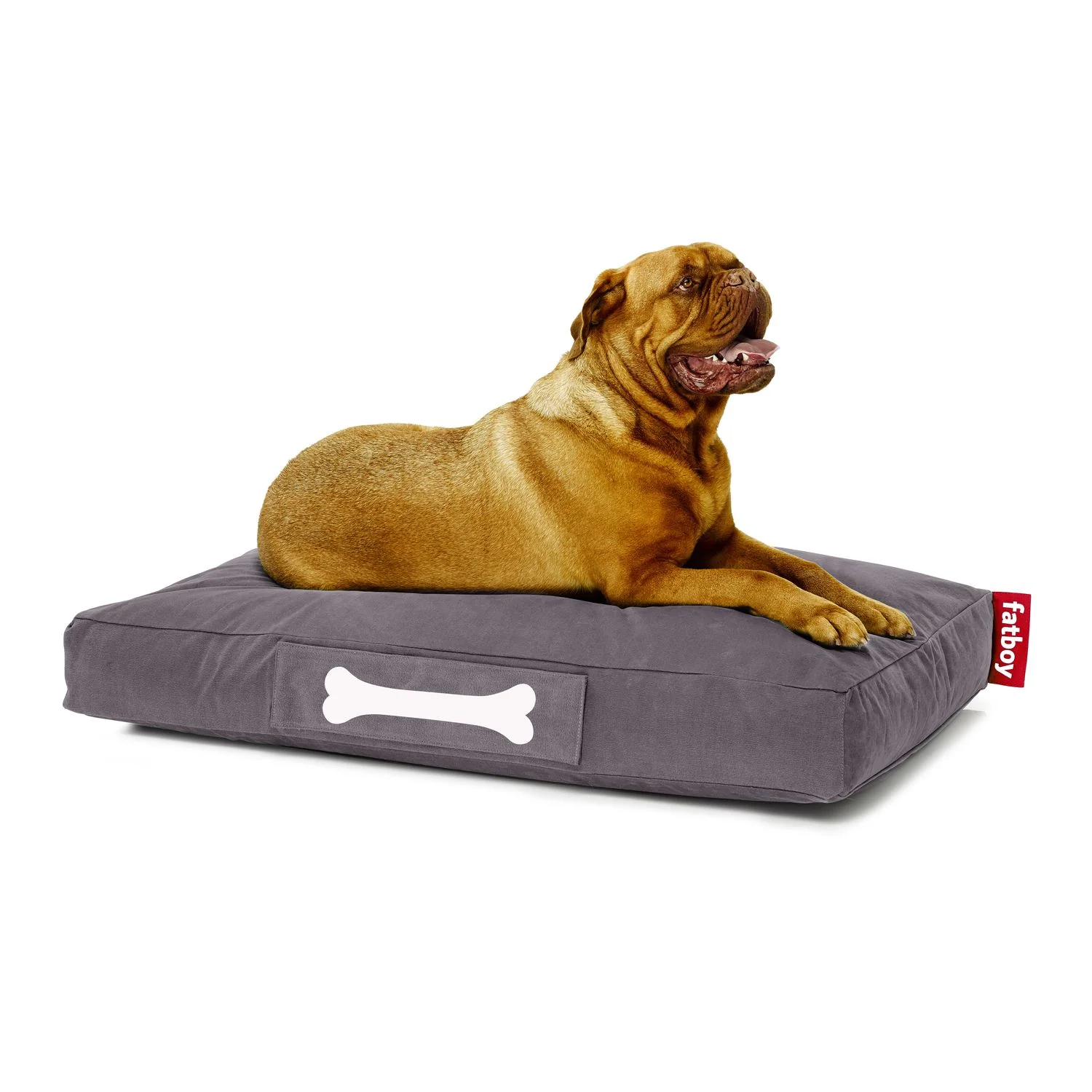 Doggielounge - Image 13