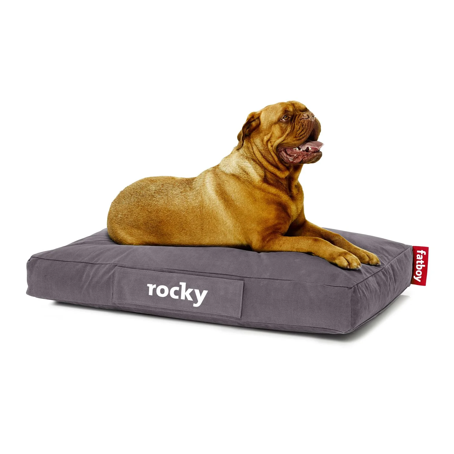 Doggielounge - Image 14