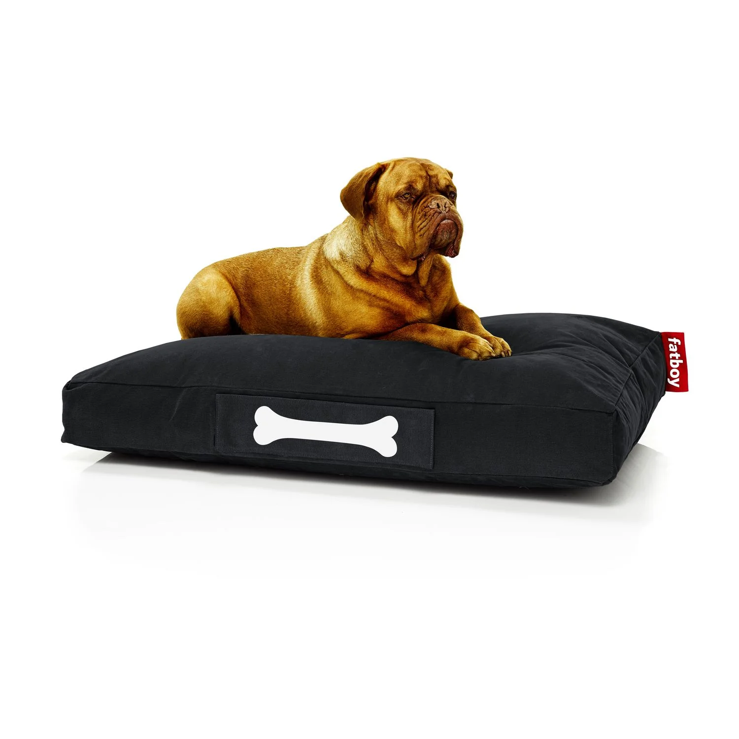 Doggielounge - Image 7