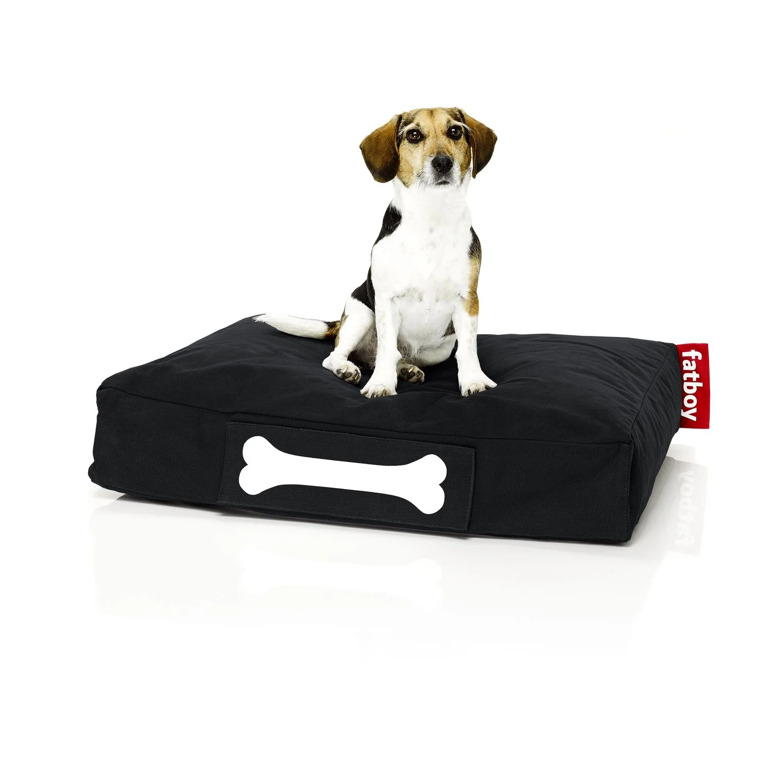 Doggielounge - Image 8