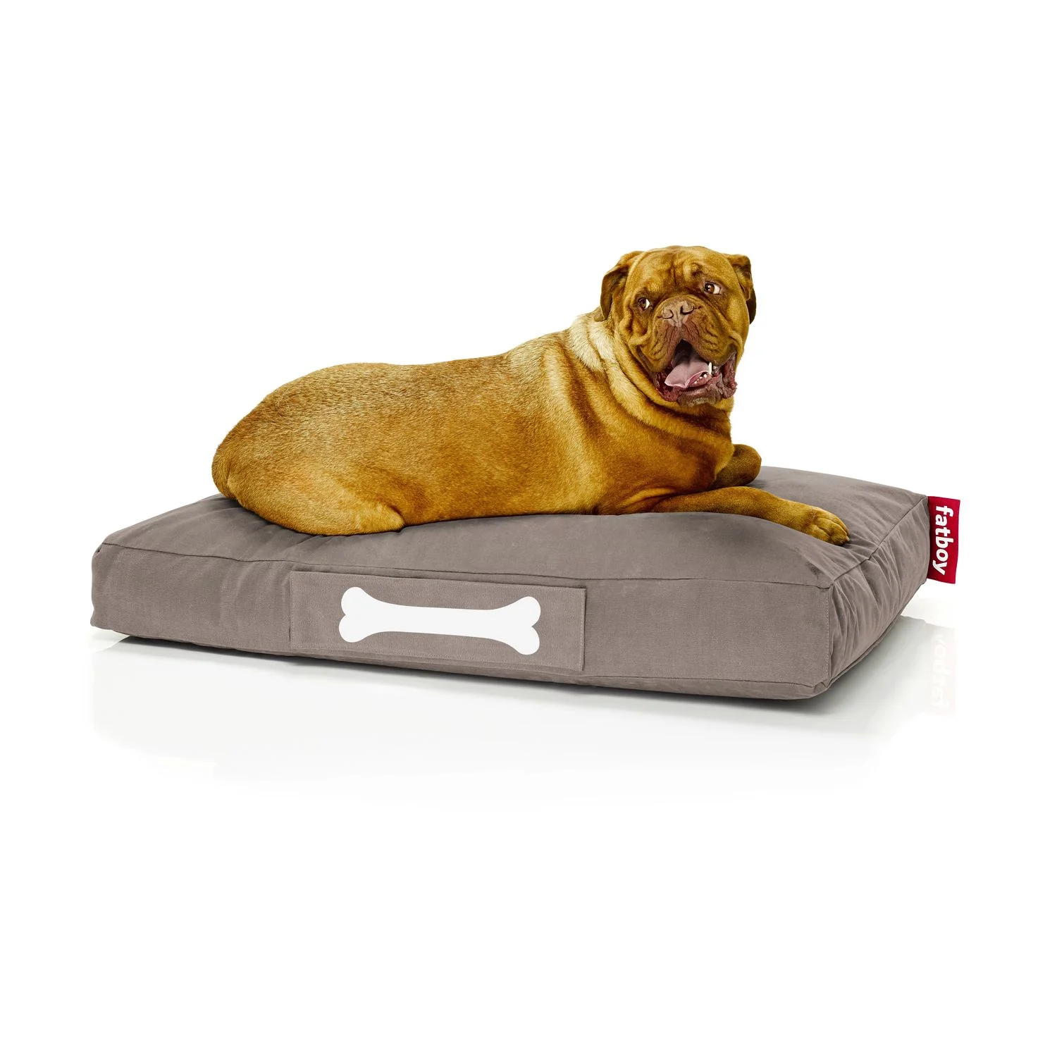 Doggielounge - Image 9
