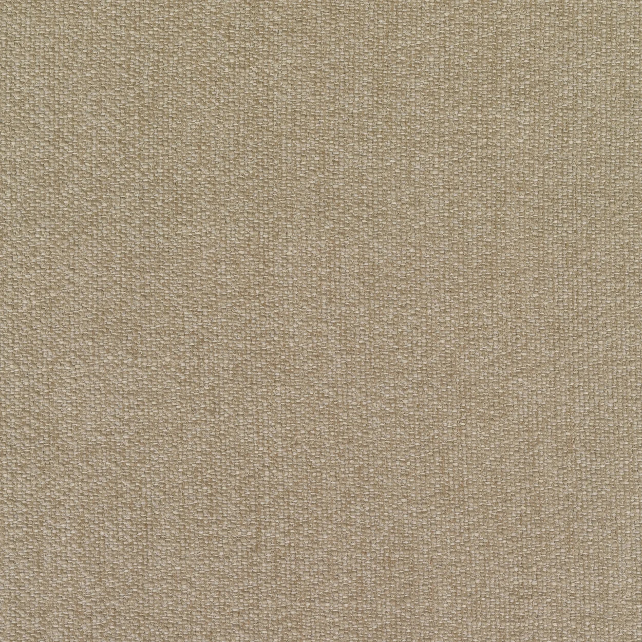 Dune-Ecriture 0240