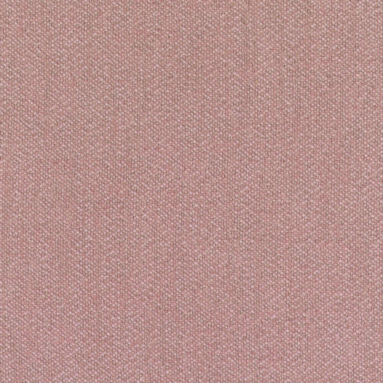 Dusty Rose-Ecriture 0640