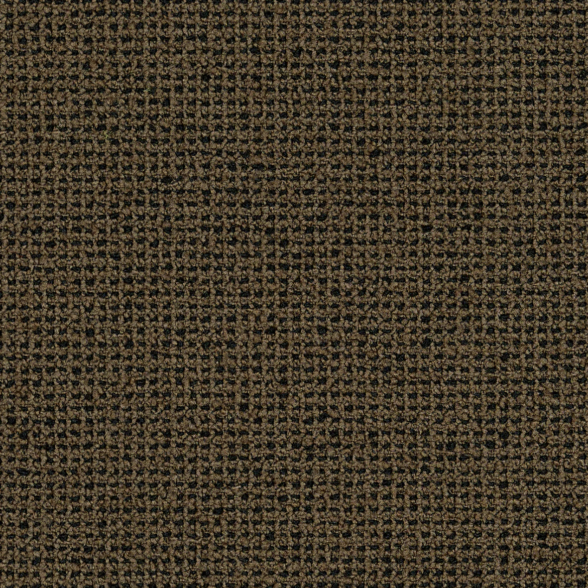 Earth-Grain 61249