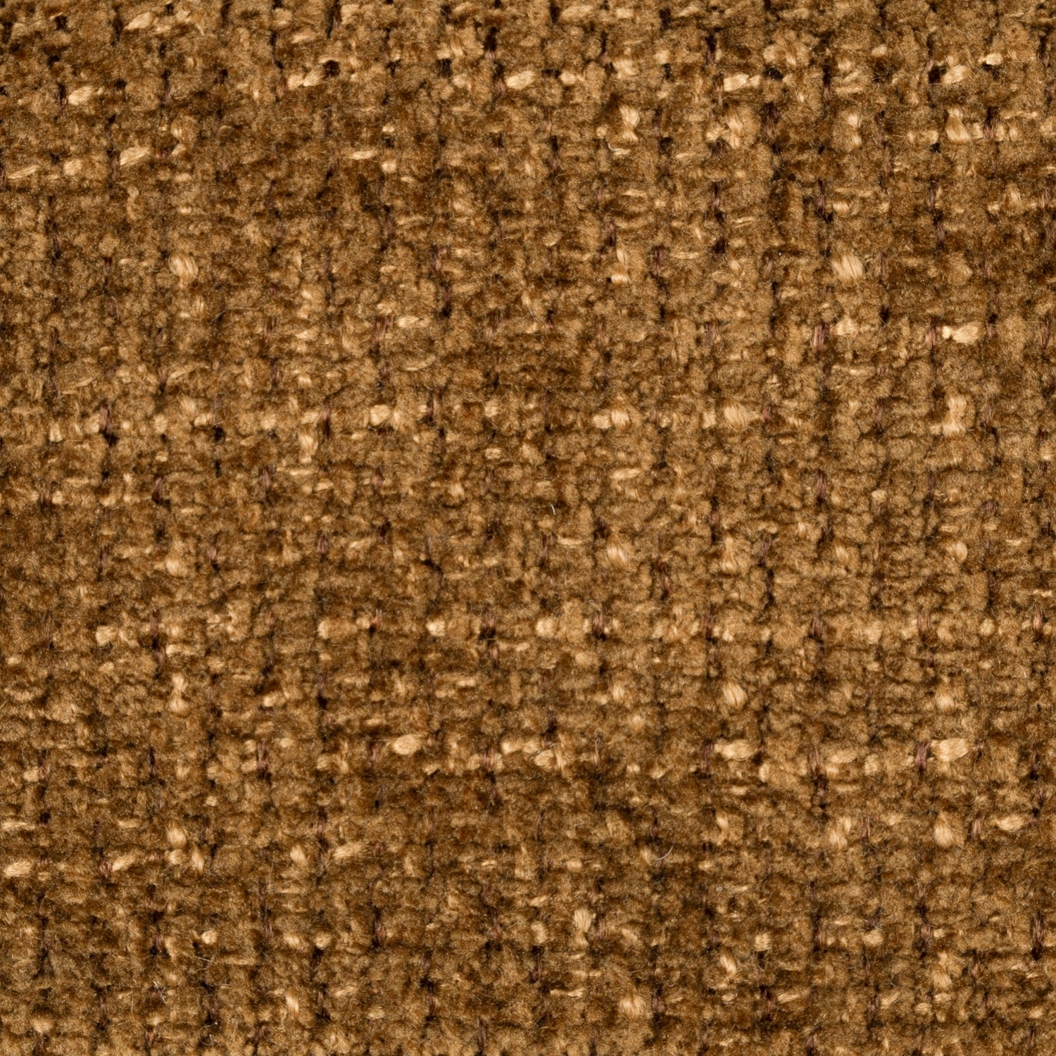 Fenugreek