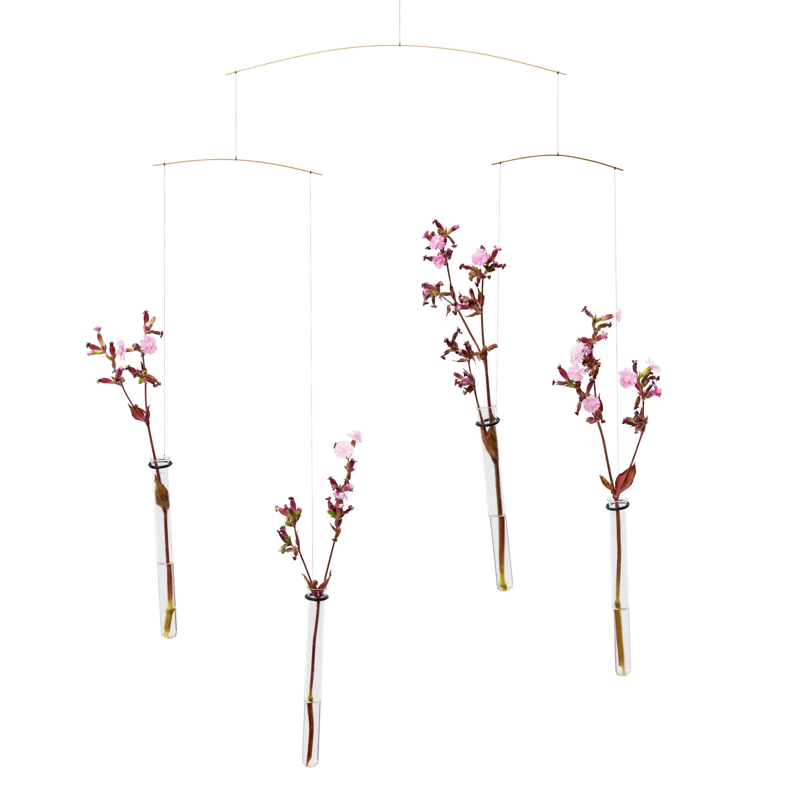 Flying Flowers
