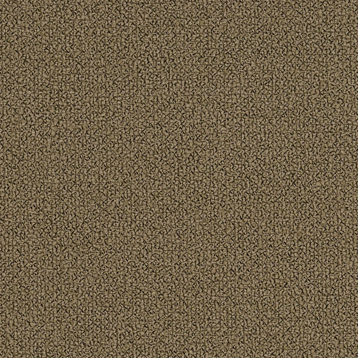 Greige-Grain 61230