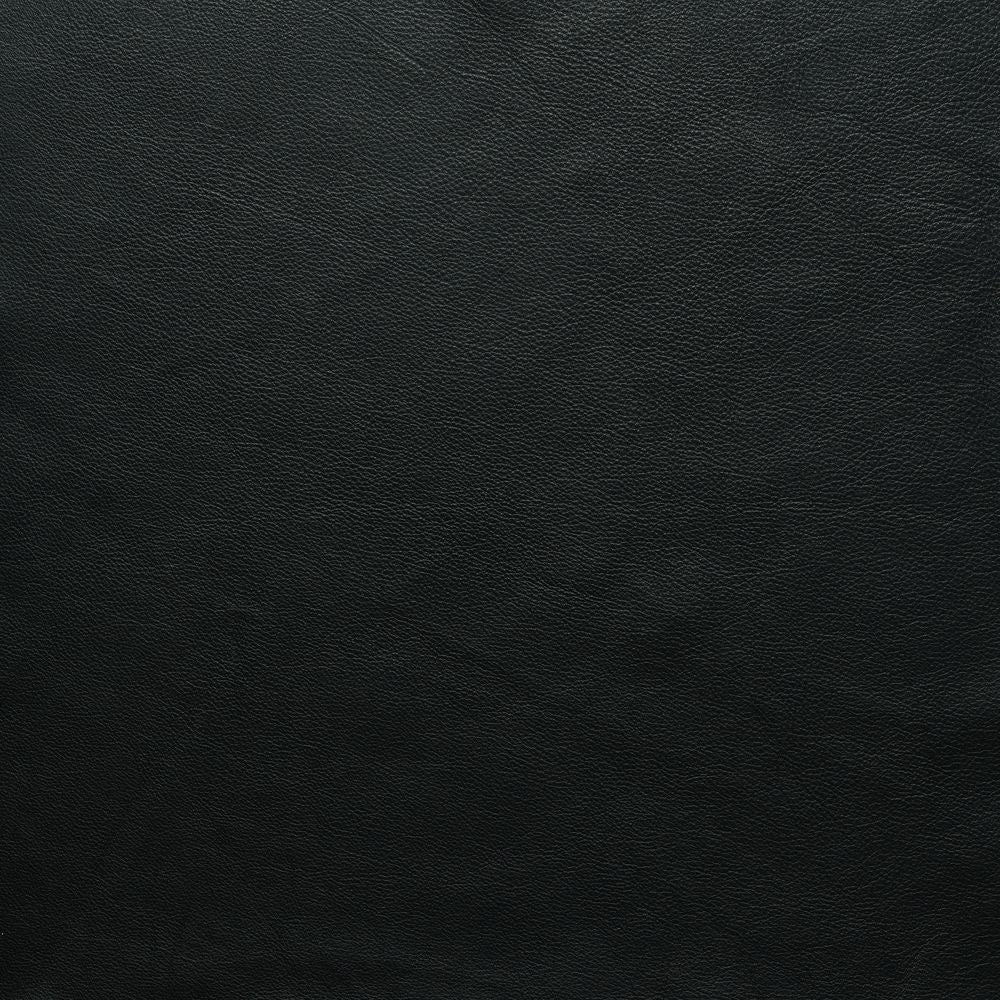 Charcoal-Alabama 007
