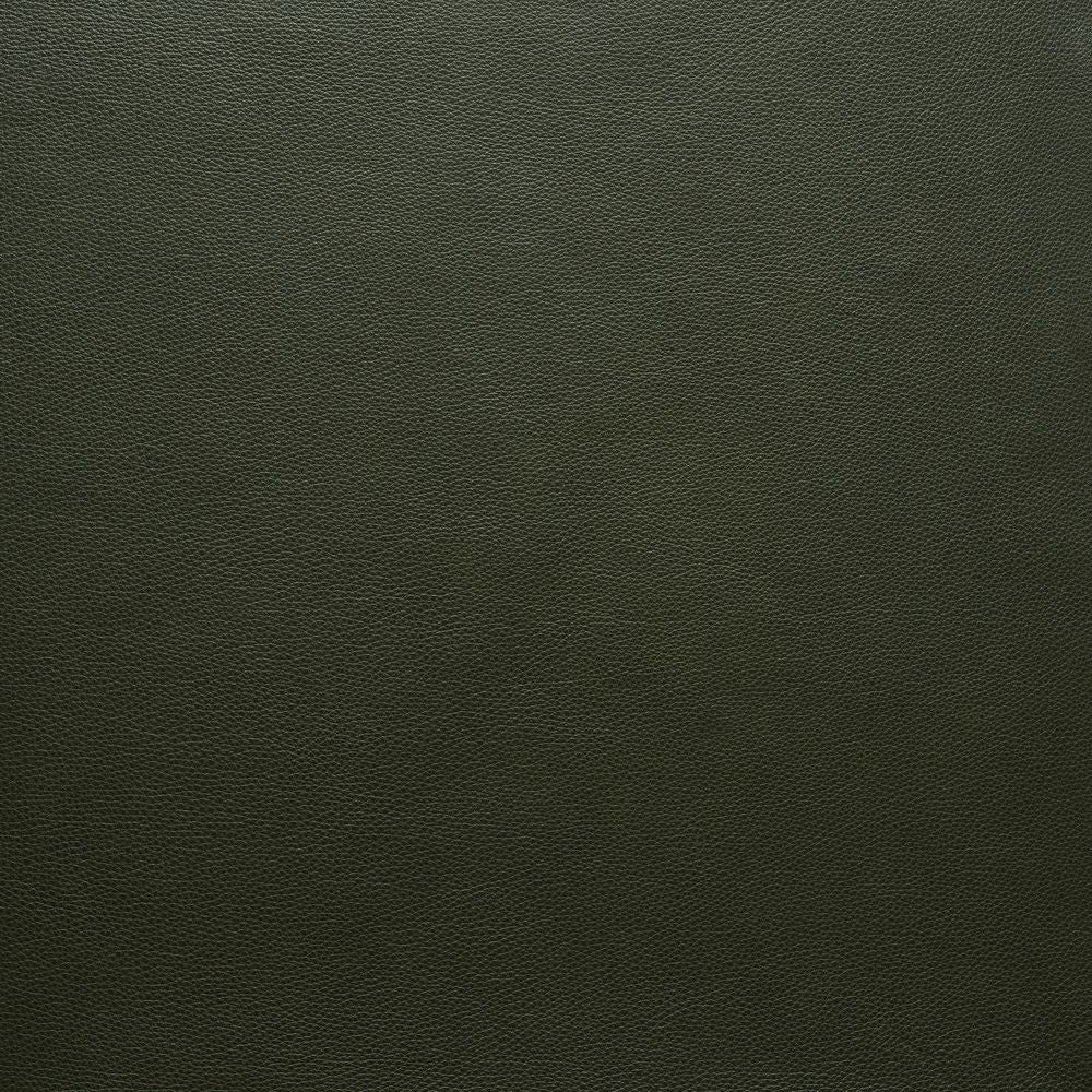 Kale-Alabama 004