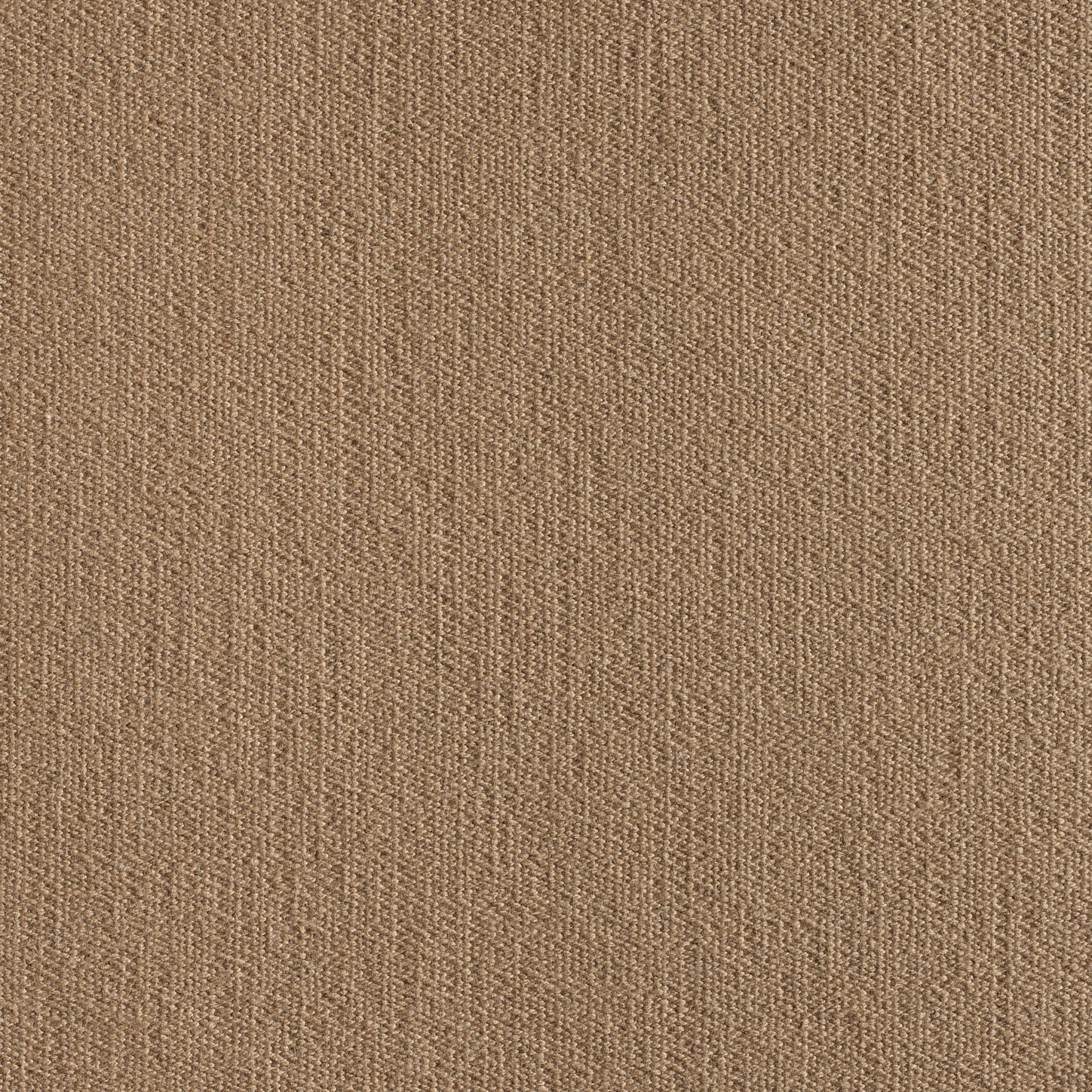 Light Brown-Cala 06