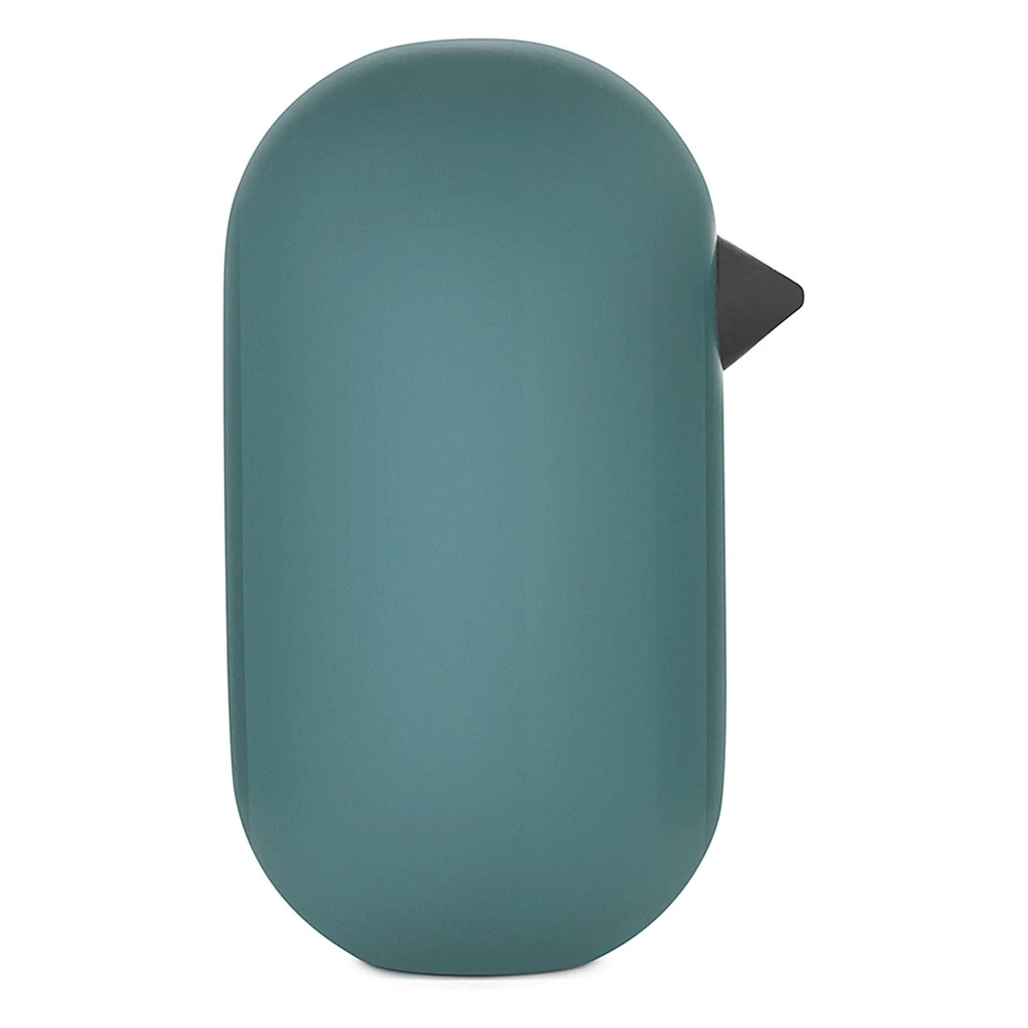 Little Bird - Image 14