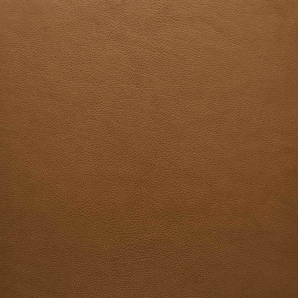 Nut-Alabama 001