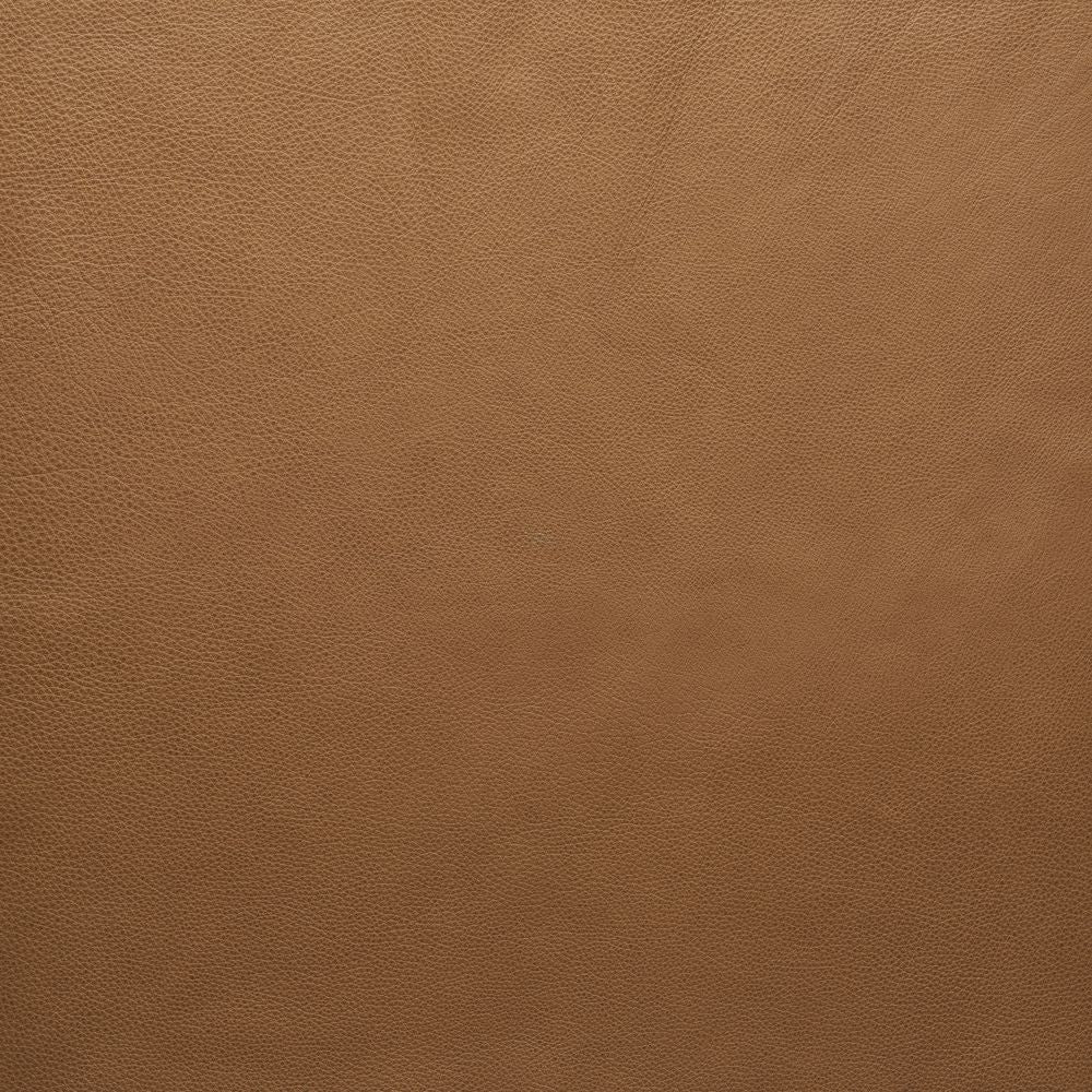 Pecan-Alabama 003