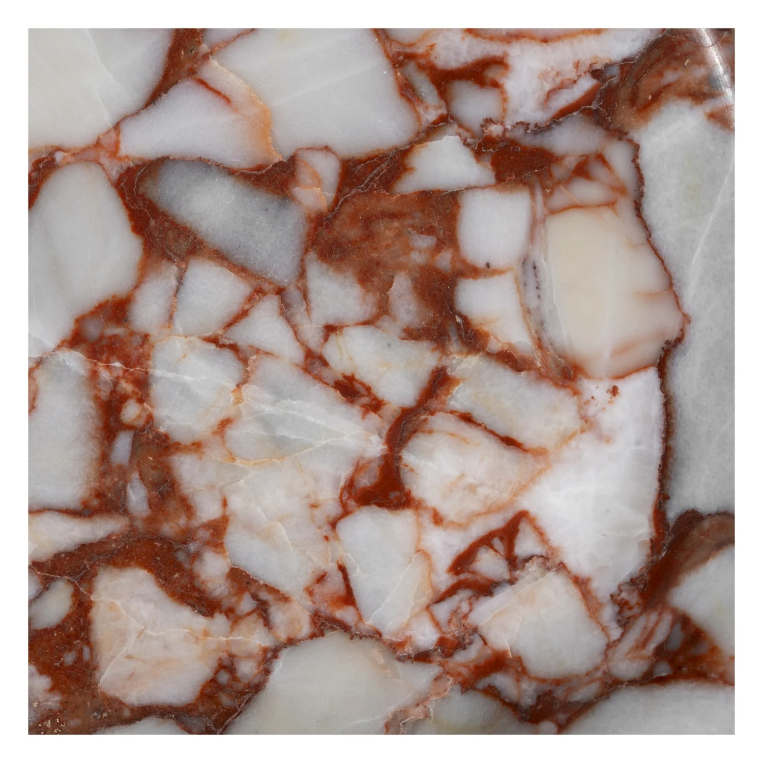 Rodeo Tray - Image 9