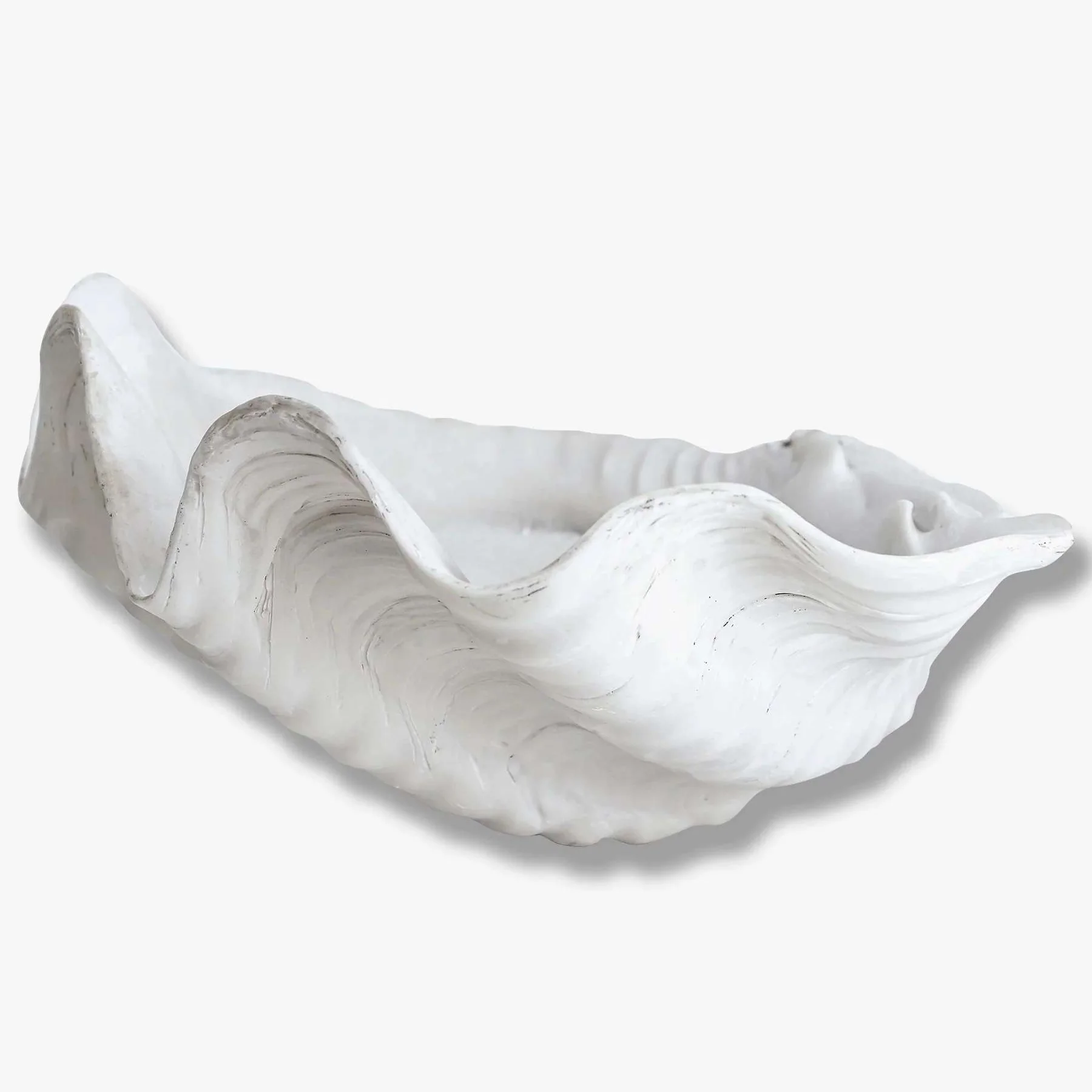 Shell Tray