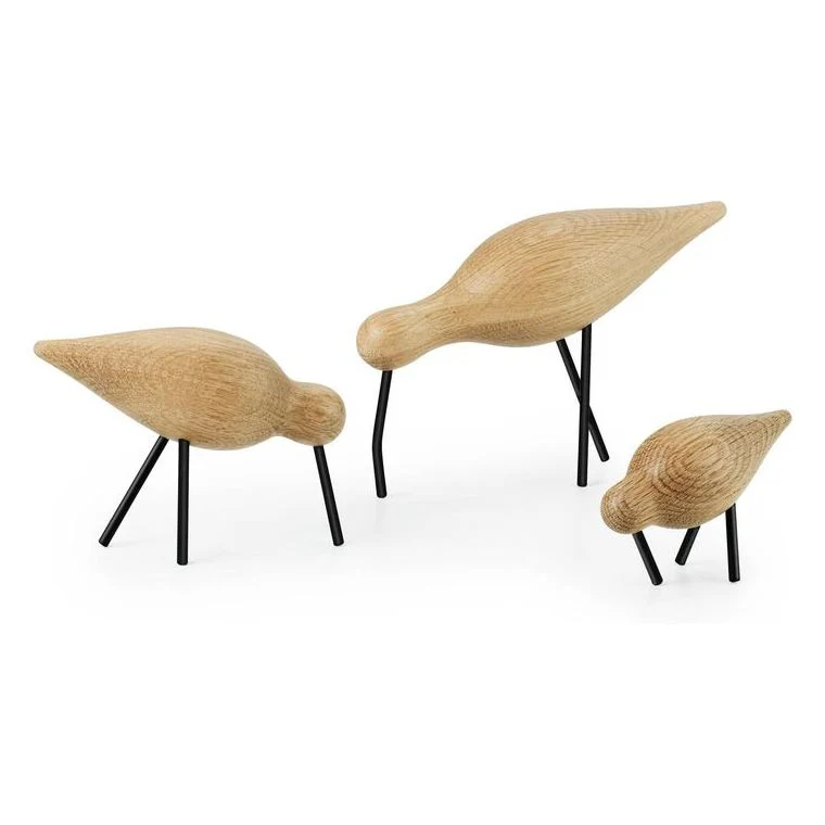 Shorebird - Image 12