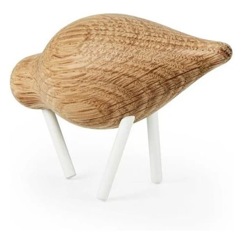 Shorebird - Image 19
