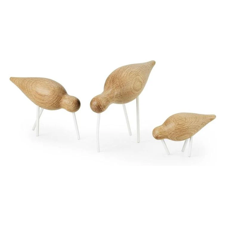 Shorebird - Image 36