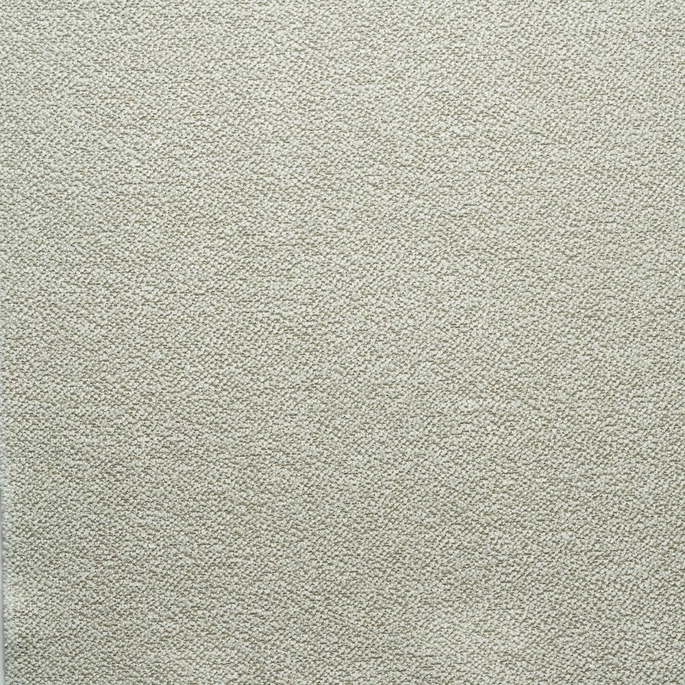Snow-Salix 0004
