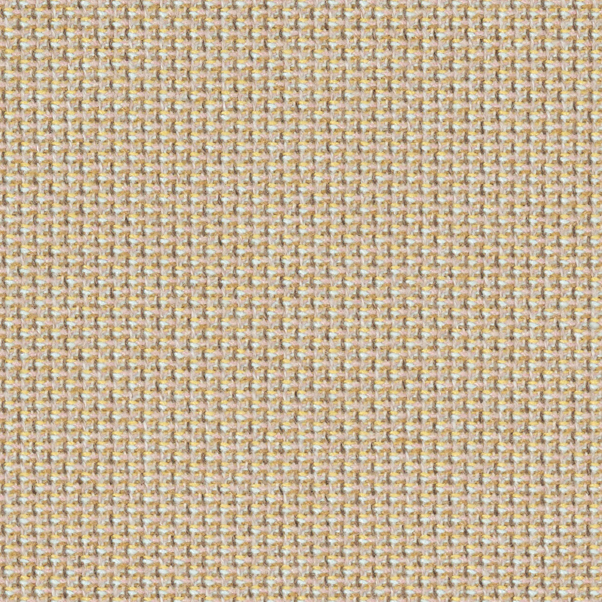 Soft Camel-Cyber 1102