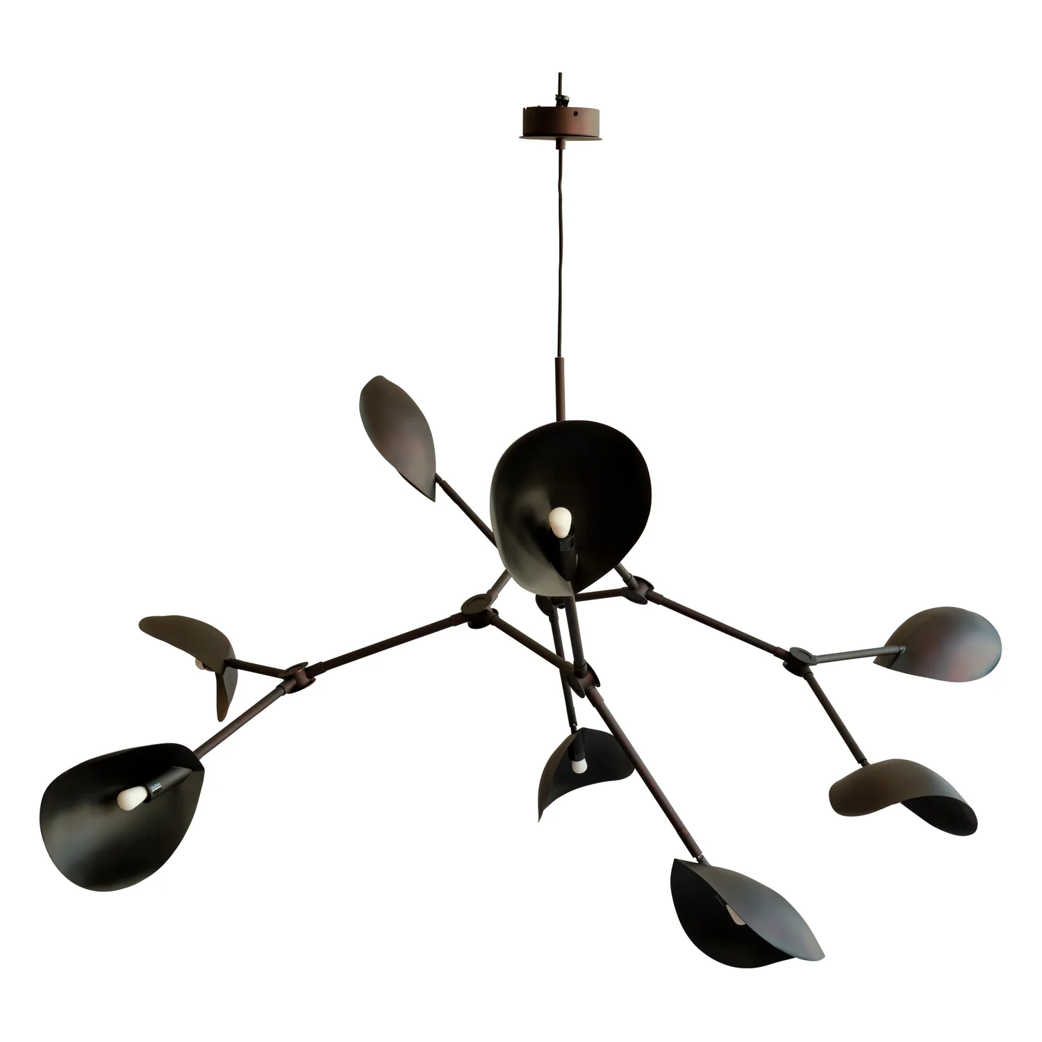 Stingray Grande Chandelier - Image 3