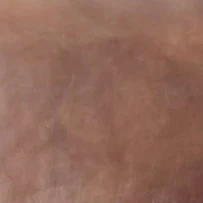 Texan Medium Brown Leather