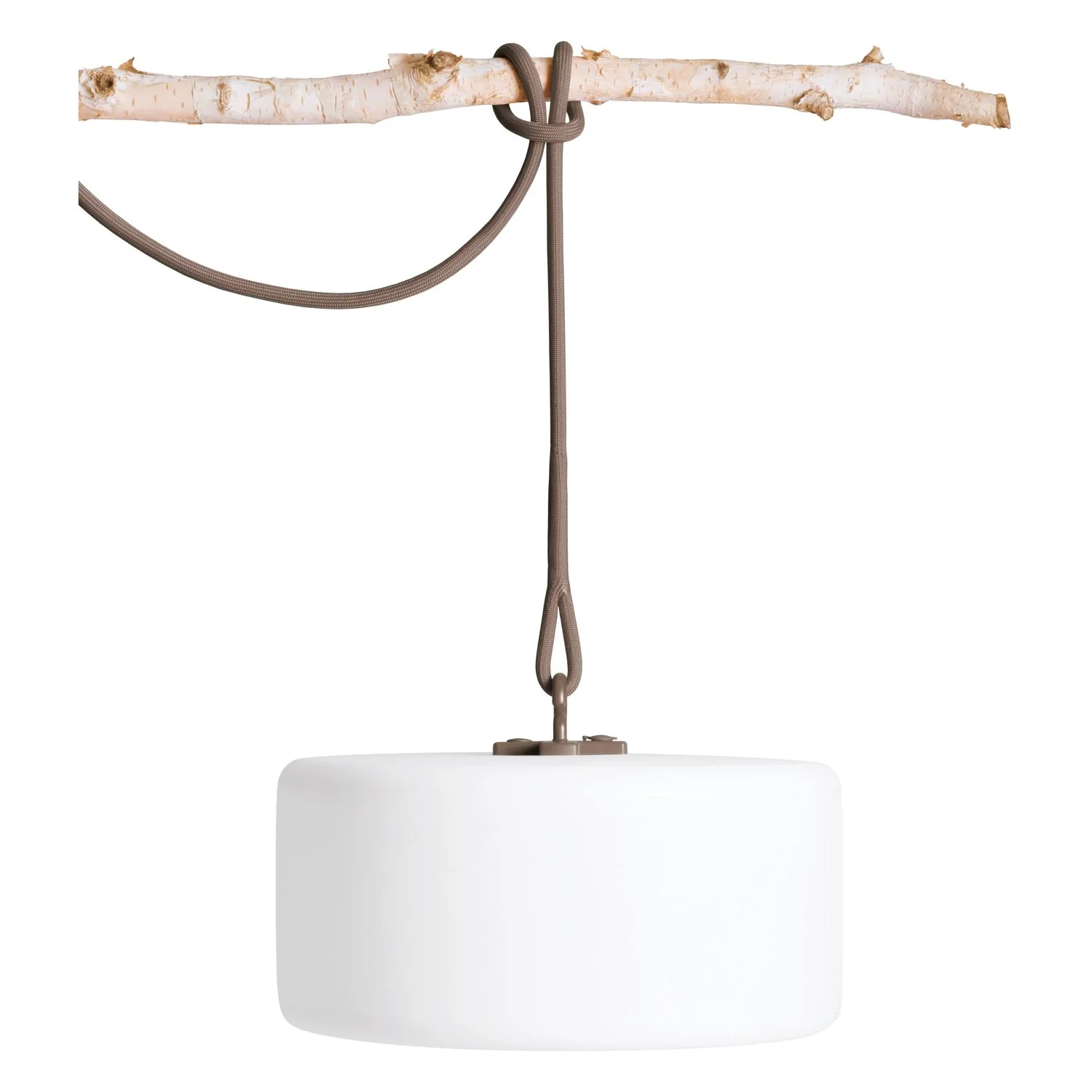 Thierry Le Swinger Light - Image 5