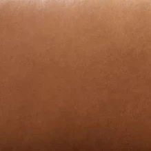 Toast Light Brown Leather