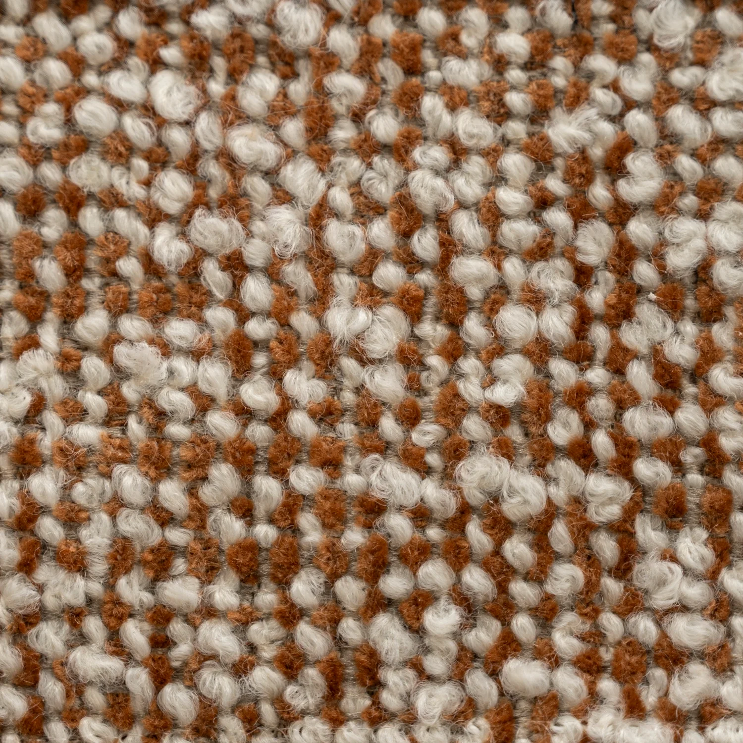Calico