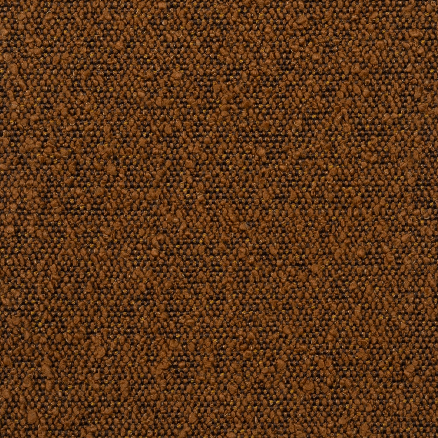 Honey Boucle